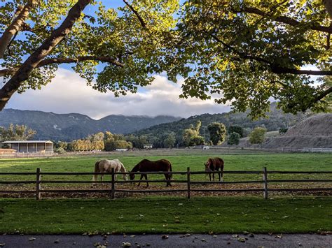 I Lived Like a Cowboy at a California Dude Ranch and Had a Hootin' Good Time