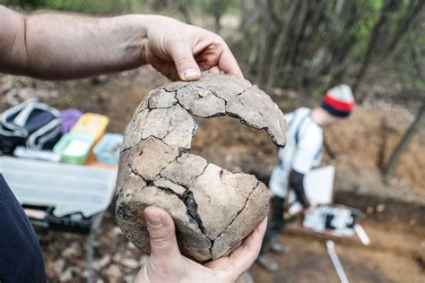 Niezwykłe odkrycie archeologiczne na Lisiej Górze w Rzeszowie FOTO