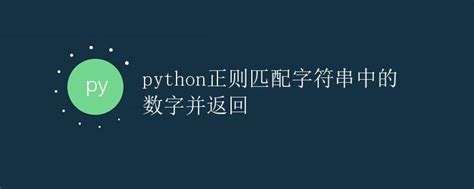 Python正则匹配字符串中的数字并返回极客笔记