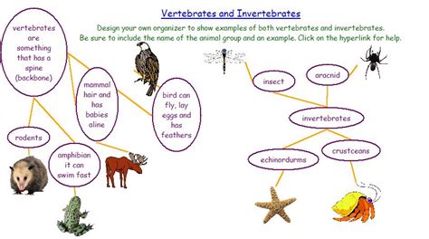 Vertebrates