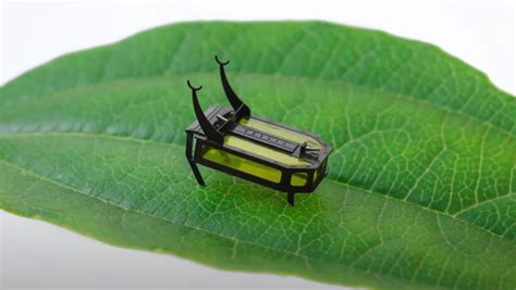 ‘Robeetle’ Is Officially the World’s Smallest Crawling Robot