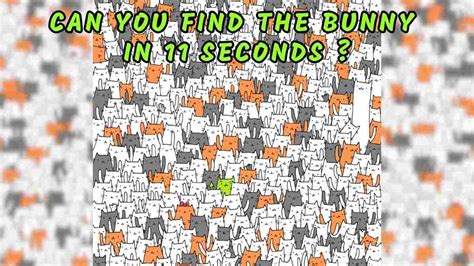 Brain Teaser Challenge Can You Find The Hidden Bunny Among The Cats In