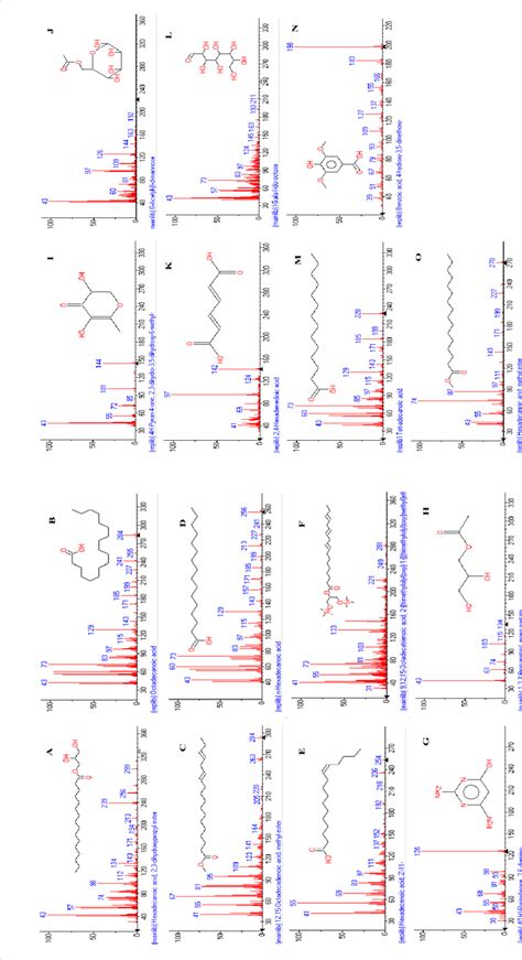 Mass Spectra And Molecular Structures Of A Hexadecanoic Acid