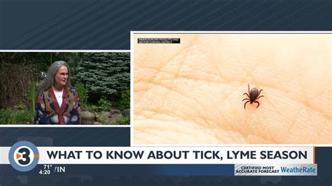 Watch What To Know About Ticks Lyme Disease In Wisconsin Youtube