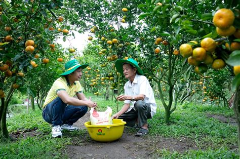 Ca Mau Fertilizer Secures Spot In Top Best Workplaces For Employees