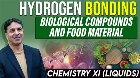 Biological Compounds And Food Material Hydrogen Bonding Chemistry