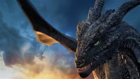 Dragonheart 3: The Sorcerer's Curse HD Wallpapers and Backgrounds