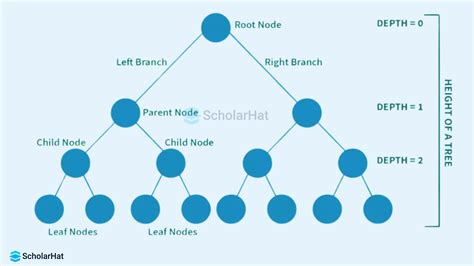 Binary Trees In Data Structures Types Implementation Applications