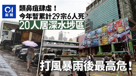 類鼻疽｜今年暫錄29宗6人死 23居深水埗區 打風暴雨後最高危 香港及世界新聞討論 香港討論區 Hk 香