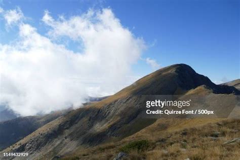 Bassera Photos And Premium High Res Pictures Getty Images