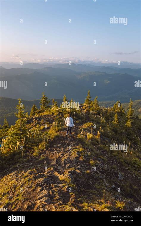 Female Hiker Enjoying View On Peak Kelly Butte Lookout Tower Mt