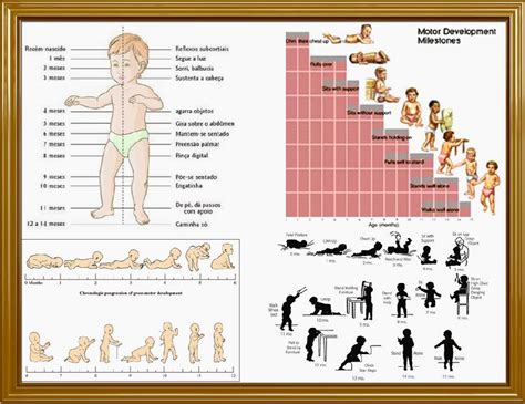 1º Bebê Desenvolvimento motor 1º Ano de vida Controlar a cabeça