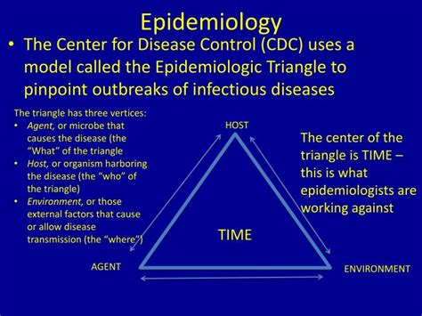 PPT - The Epidemiologic Triangle PowerPoint Presentation - ID:2333141