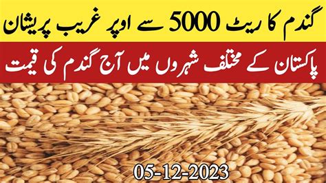 Today Wheat Price Update Pakistan Pakistan Me Aj Gandam Ka Rate YouTube