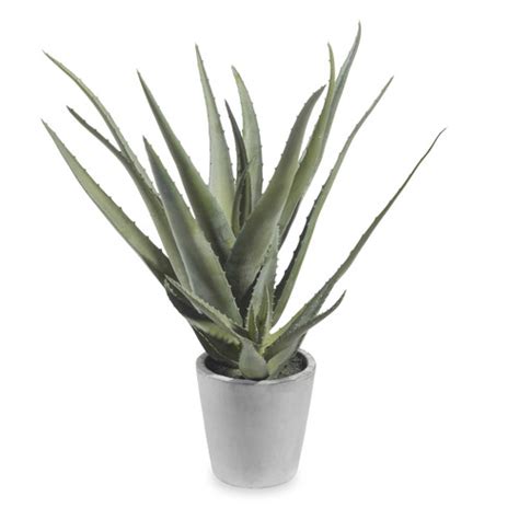 Aloe Vera Artificielle En Pot H Cm Maisons Du Monde