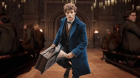 What Is Newt Scamander S Sexuality At Robert Choate Blog