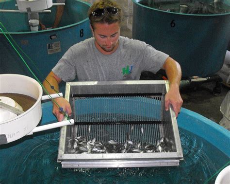 Hackettstown State Fish Hatchery Celebrates Its 100th Anniversary