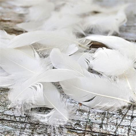 White Goose Feathers For Crafts 3g Goose Feathers Feather Crafts