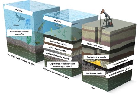 La Formación Del Petróleo Y Otras Curiosidades