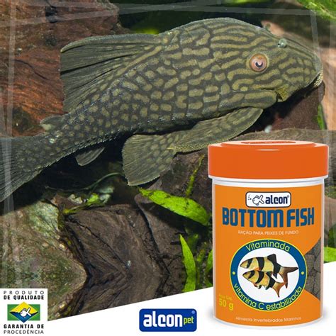 Alcon Botton Fish Peixes De Fundo 1kg Parcelamento Sem Juros