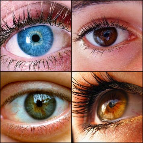 ¡los Colores De Ojos Más Raros And Todo Sobre Tu Color♥