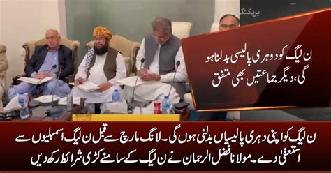 Maulana Fazlur Rehman Asks Pmln To Resign From Assemblies Before Long March