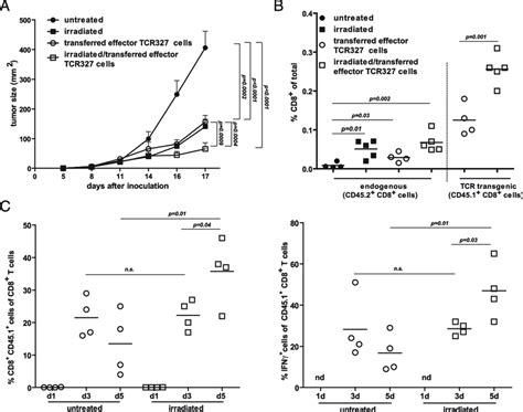 Adoptive Transfer Of Tumor Specific Effector CD8 T Cells Controls