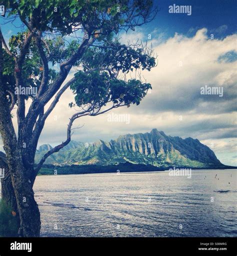 Jurassic Park :-) (Hawaii Stock Photo - Alamy