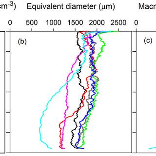 Variation Of A Computed Tomography Derived Macroporosity F M Ct