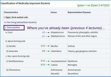 E Coli Salmonella Helicobacter Vibrio Cholerae Flashcards Quizlet