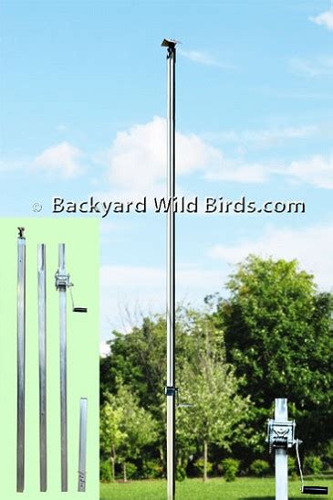 Purple Martin Pole System at Backyard Wild Birds