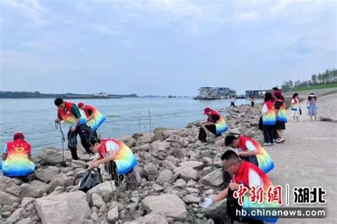 中新网湖北 湖北新闻网 宜昌组织志愿者开展净滩行动保护长江生态