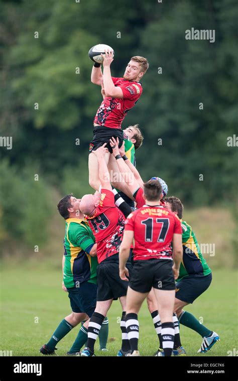 Rugby line out, players in action Stock Photo - Alamy