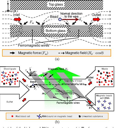 Figure From High Speed Rna Microextraction Technology Using Magnetic