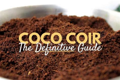 The Definitive Guide To Coco Coir Why We Love It Terrarium Tribe