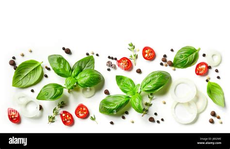 Collection Of Fresh Herbs And Spices Isolated On White Background Top