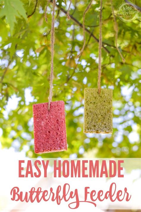 Easy Homemade Butterfly Feeder