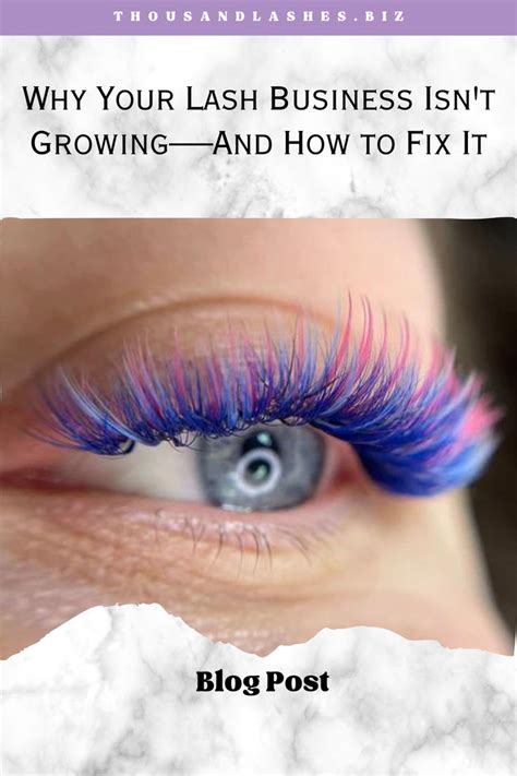 Why Your Lash Business Isn T GrowingAnd How To Fix It In 2024 Lashes