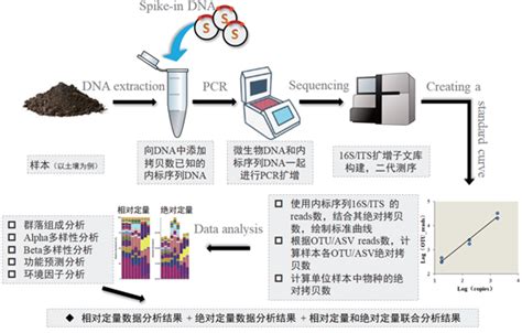 新突破！天昊扩增子绝对定量测序助力客户定向敲除细菌研究喜登cell子刊《cell Reports Methods》