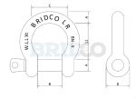 Stainless Steel Load Rated Bow Shackle Bridco