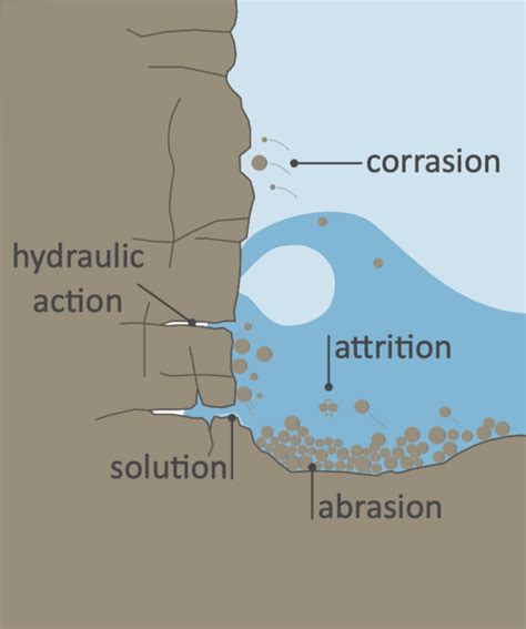 Coastal Erosion Processes Diagram Effects Erosion Coastal Sh