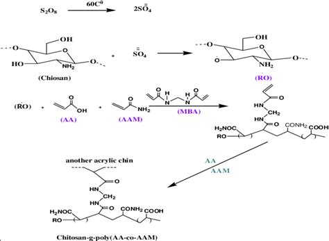scheme   formation  hydrogel equation  scientific diagram