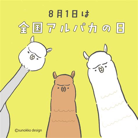 8月1日はアルパカの日は特別企画のyoutubeライブ Alpacapacaballoonshops Blog