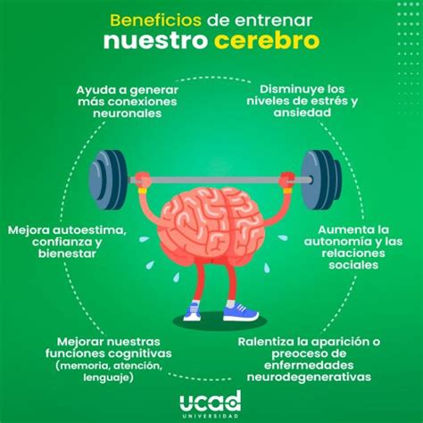 C Mo Ejercitar Tu Cerebro Voz Universidad Ucad