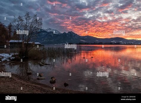 The Bavarian Mountain Lake Kochelsee In The Sunset Stock Photo Alamy