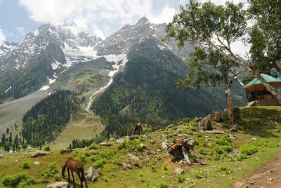 Srinagar Tour Packages Starting Rs 8 275 C Himalaya