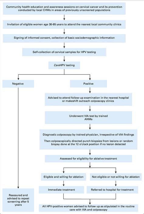 Flowchart Of The Cervical Cancer Screening Program Anm Auxiliary