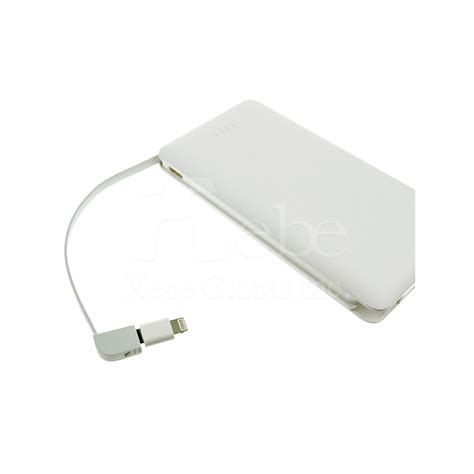 Custom Double Cables Portable Charger Custom Portable Charger