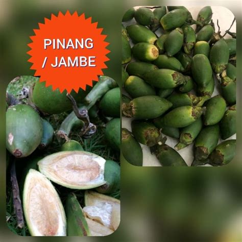 Jual PINANG MUDA JAMBE MUDA BIJIAN Shopee Indonesia