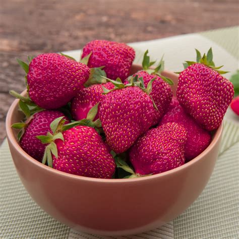 Purple Strawberry